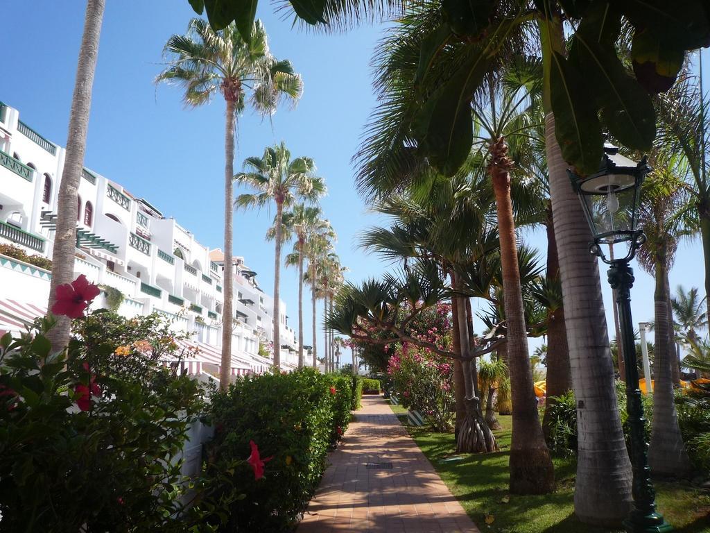 פלאייה דה לאס אמריקס 4 Santiago Playa Tenerife Estudio חדר תמונה
